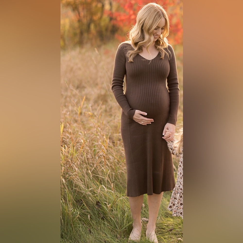 Hatch The Dasha Maternity Sweater Dress in Chocolate